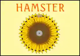 Hamster - 