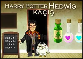 Harry Potter Hedwig Kaçış