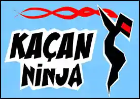 Kaçan Ninja - 
