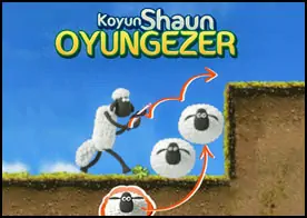 Koyun Shaun Oyungezer
