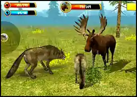 Kurt simülatörü ile bir kurt olarak 3D ormanda dolaş vahşi hayvanları avla verilen görevleri yap kendi aileni kur