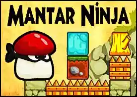 Mantar Ninja