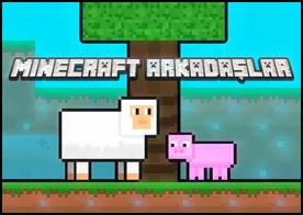 Minecraft Arkadaşlar - 