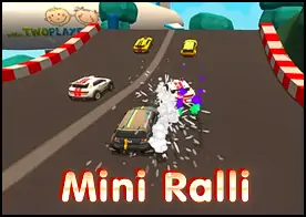 Mini Ralli