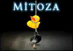 Mitoza - 
