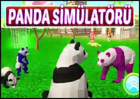 Panda Simülatörü 3D - 
