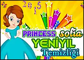 Prenses Sofia Temizlik - 