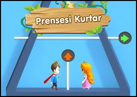 Prensesi Kurtar 2 - 