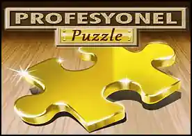 Profesyonel Puzzle - 
