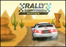 Ralli Sampiyonası - 