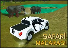 Safari Macerası - 
