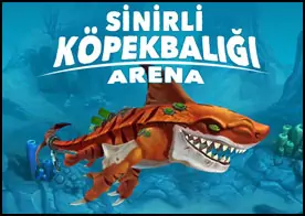 Sinirli Köpekbalığı Arena