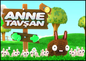 Anne Tavşan