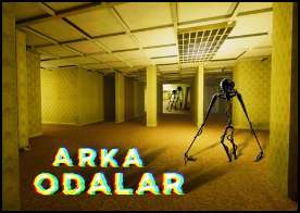 Arka Odalar