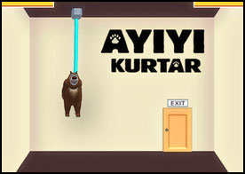 Ayıyı Kurtar