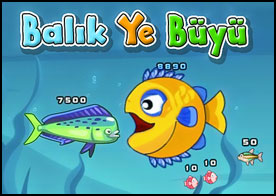 Balık Ye Büyü 2