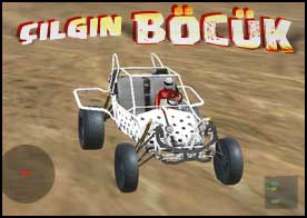 Çılgın Böcük