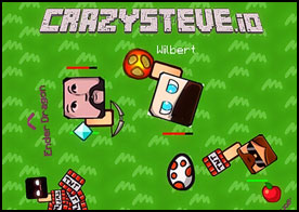 Crazysteve.io