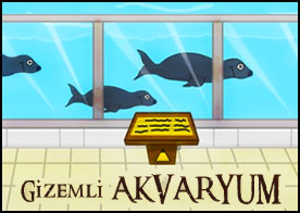 Gizemli Akvaryum