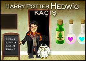 Harry Potter Hedwig Kaçış
