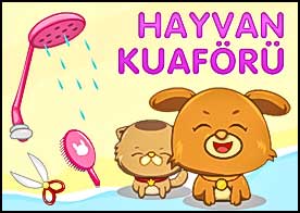 Hayvan Kuaforü