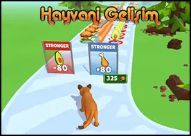 Hayvani Gelişim