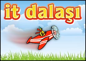 İt Dalaşı