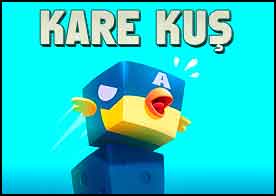 Kare Kuş