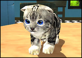 Kedi Simülatörü 3D
