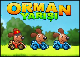 Orman Yarışı