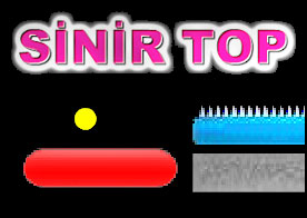 Sinir Top