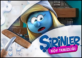 Şirinler Köy Temizliği