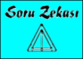 Soru Zekası