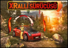 Xralli Sürücüsü - 6