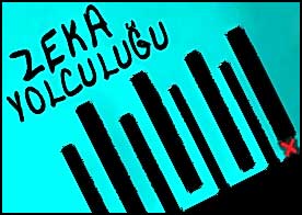 Zeka Yolculuğu