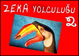 Zeka Yolculuğu 2